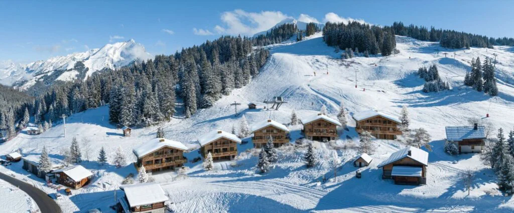 chalets en haute savoie Alpeximmo